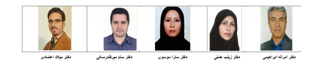 ارتقای رتبه