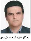 دکتر حسین پور