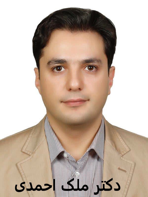 دکتر ملک احمدی