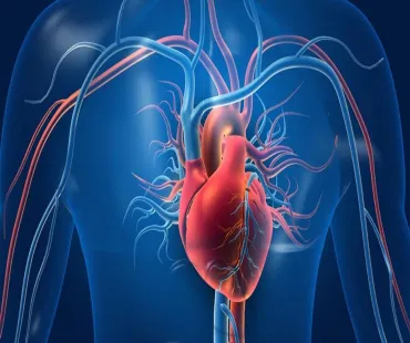 هشدار درباره عوامل خطر قلبی؛ از مصرف نمک و غلات تصفیه‌شده تا کم‌تحرکی