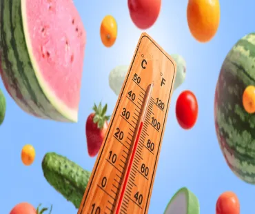 مقابله با گرمازدگی