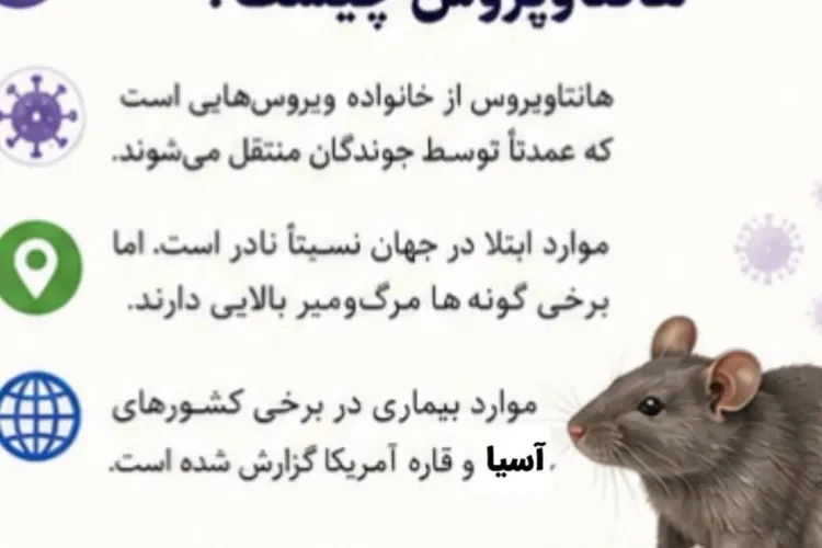 هانتا ویروس
