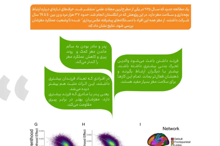 فرزند آوری نسخه تازه برای سلامت مغز در سالمندی/جوانی جمعیت