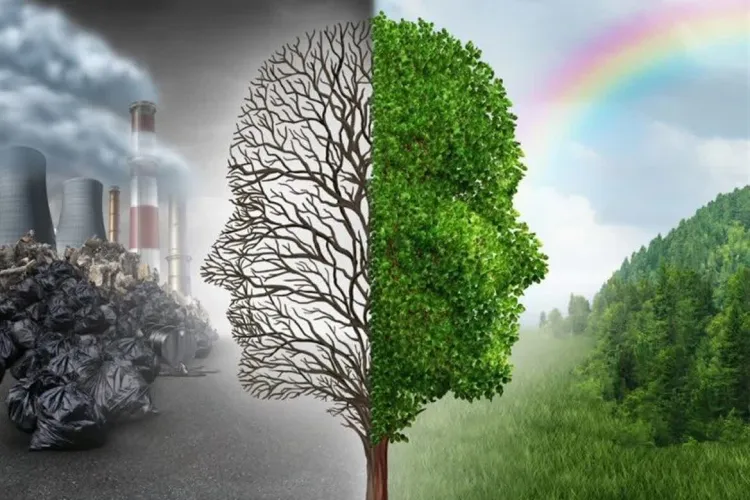 کاهش اثرات آلودگی هوا با توصیه های طب ایرانی