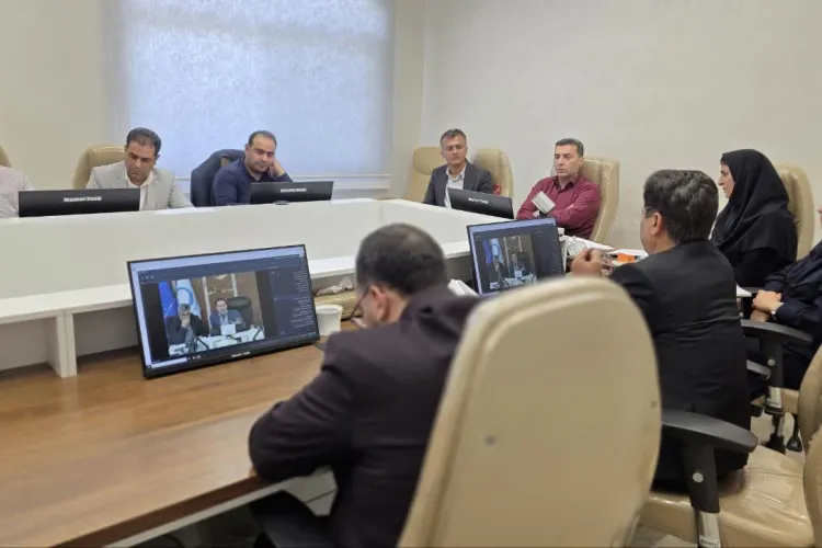 جلسه وبیناری هم‌اندیشی برنامه پزشکی خانواده و نظام ارجاع در ۲۰ شهرستان منتخب برگزار شد