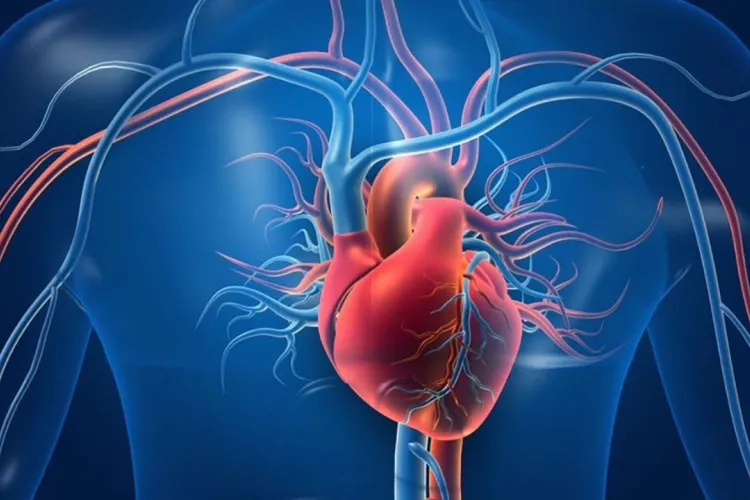 هشدار درباره عوامل خطر قلبی؛ از مصرف نمک و غلات تصفیه‌شده تا کم‌تحرکی