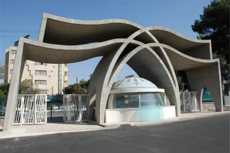 دانشگاه