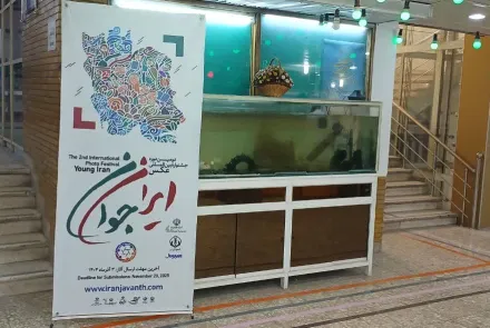 گزارش تصویری از  انتشار گسترده پوستر و بنر جشنواره بین المللی عکس ایران جوان در فضاهای شهری و واحدهای دانشگاه