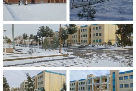 قابهای برفی در واحدهای تابعه دانشگاه و همچنان گرما در جریان درمان و آموزش