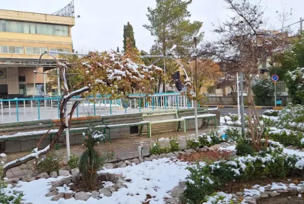 قابهای برفی در واحدهای تابعه دانشگاه و همچنان گرما در جریان درمان و آموزش