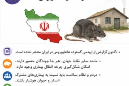هانتا ویروس