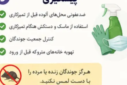 هانتا ویروس