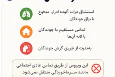 هانتا ویروس