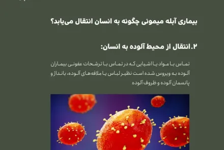آبله میمونی