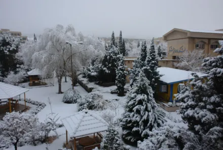 نمای برفی دانشگاه