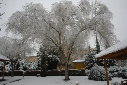 نمای برفی دانشگاه