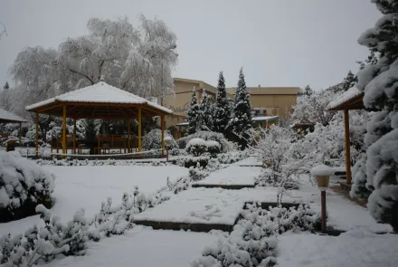 نمای برفی دانشگاه