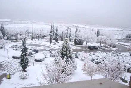 نمای برفی دانشگاه