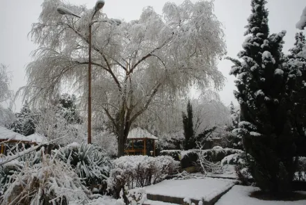 نمای برفی دانشگاه