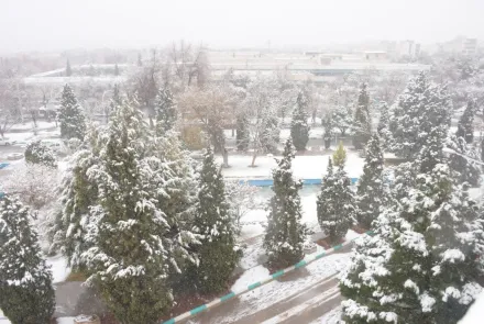 نمای برفی دانشگاه