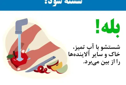 ایمنی غذا