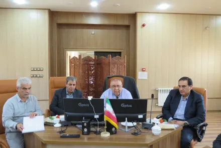 بازدید از شبکه