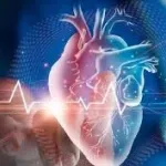 هشدار متخصص قلب: عفونت‌های کودکی، میانسالی را نشانه می‌رود