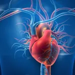 هشدار درباره عوامل خطر قلبی؛ از مصرف نمک و غلات تصفیه‌شده تا کم‌تحرکی