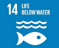 Life Below Water